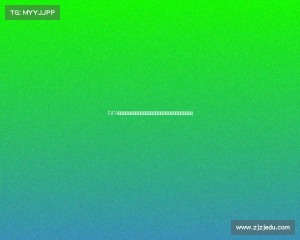 FIFA世界杯门票购买全攻略及购票渠道与注意事项详解实用指南推荐合集